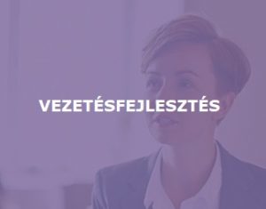 vezetesfejleszte feliratos
