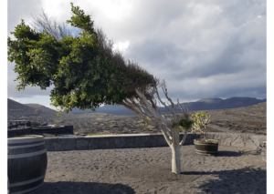 Reziliencia3